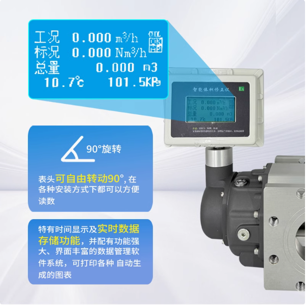 LLQ-40氣體羅茨腰輪流量計
