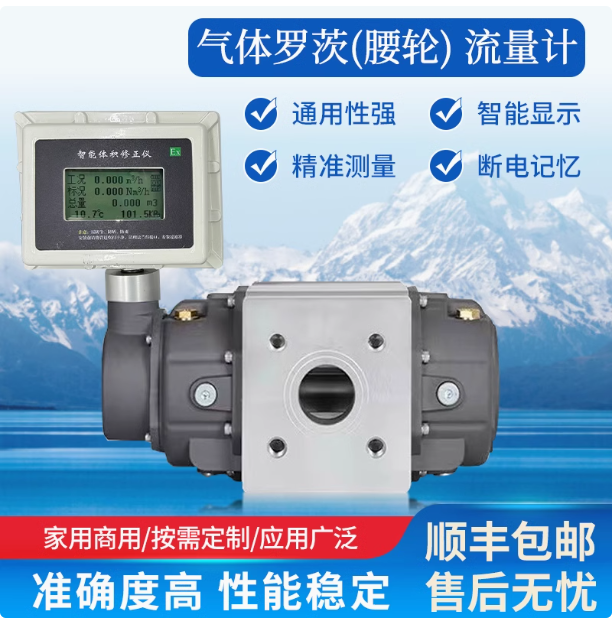 LLQ-65氣體羅茨腰輪流量計
